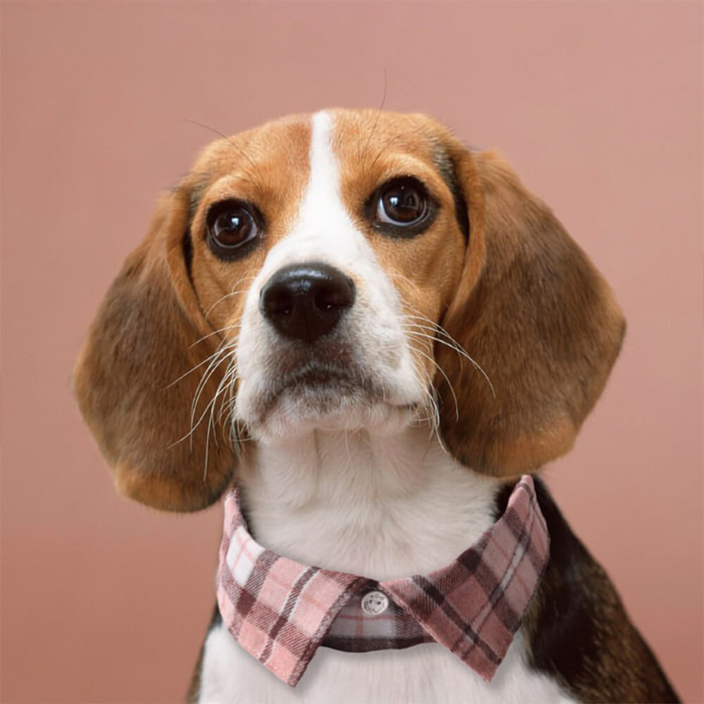 Iropaws Gentleman's Plaid Handmade Adjustable Dog Collar 2