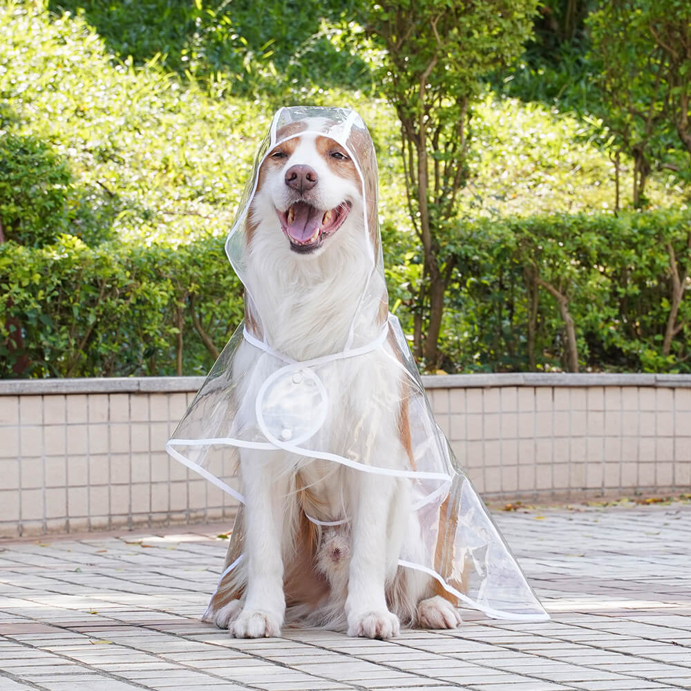 Iropaws Transparent EVA Waterproof Outdoor Dog Hooded Raincoat 9