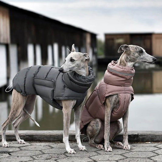Iropaws Waterproof And Windproof Warm Vest - The Ultimate In Winter Warmth And Style 1
