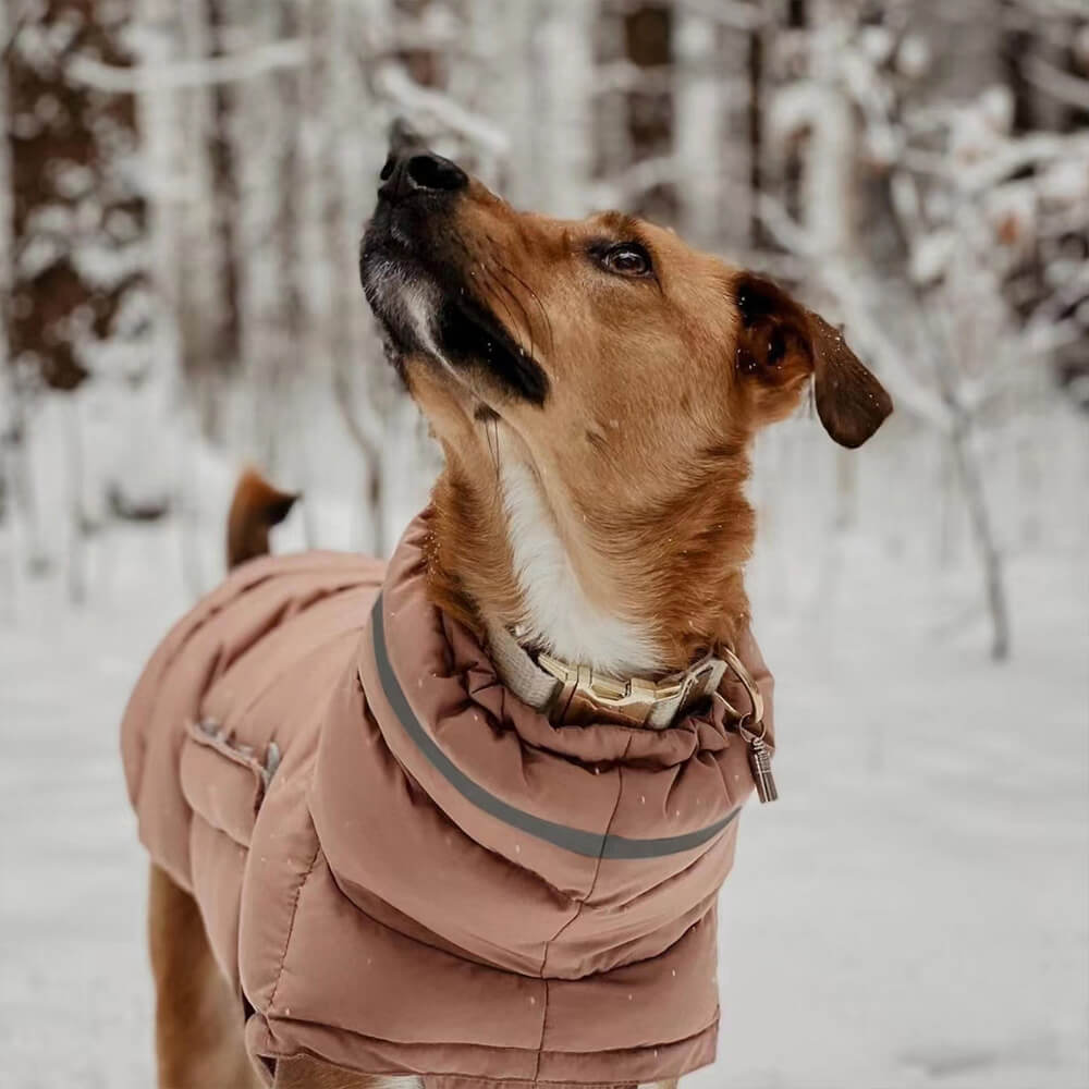 Iropaws Waterproof And Windproof Warm Vest - The Ultimate In Winter Warmth And Style 5